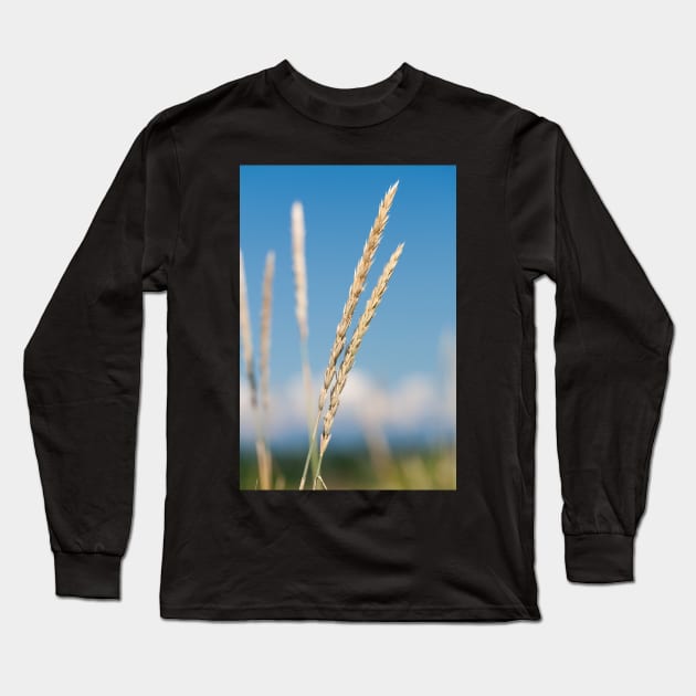 Wild Grasses at Iona Beach - Richmond Long Sleeve T-Shirt by Kat C.